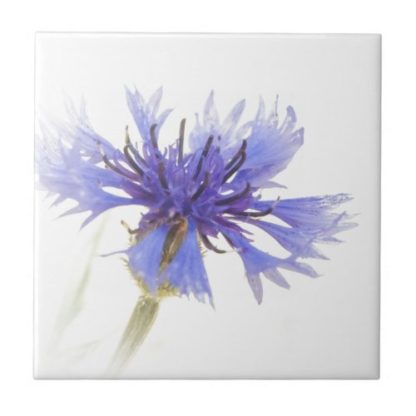 high   contrast   blue   cornflower   floral   photo   ceramic   tile