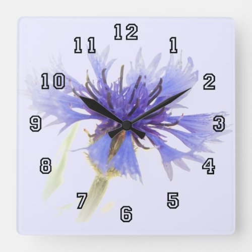high   contrast   blue   cornflower   floral   photo   square   wall   clock