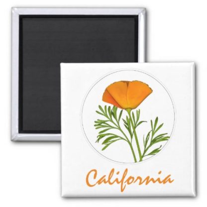 orange   california   text   a   golden   poppy   in   a   circle   magnet