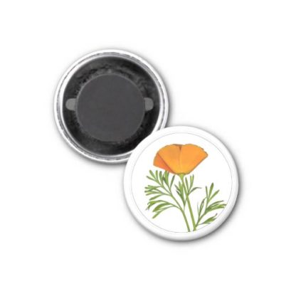 photo   of   a   golden   poppy   in   a   circle   magnet
