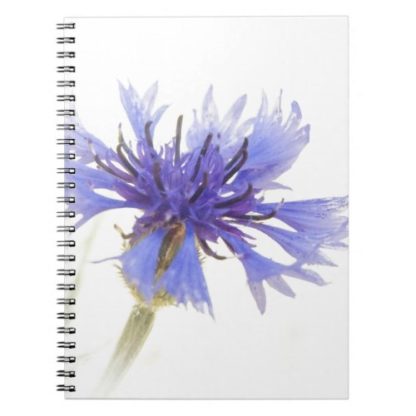 spiral notebook with a blue cornflower on the front