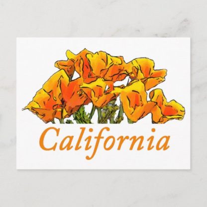 stylized california poppy art with california text on white, postcard