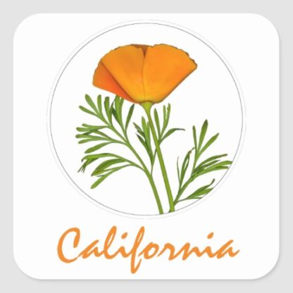 photo of a california poppy in a circle with california text on white postcard