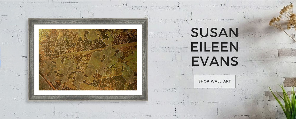 a framed picture hangs on a wall. Text says, Susan Eileen Evans, and Shop wall art